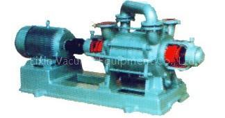 Liquid Ring Vacuum Pump