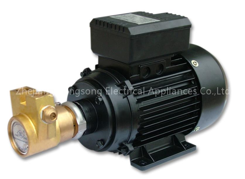 Rotary Vane Pump