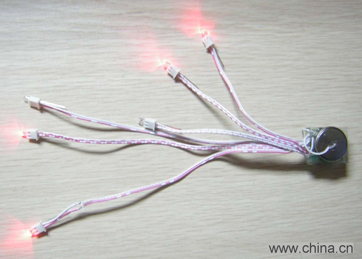 light shoes/Electronic Flash shoes light