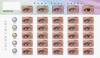 Contact Lenses (Singapore)