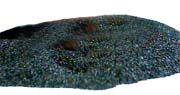 Indonesia Coconut Shell Charcoal