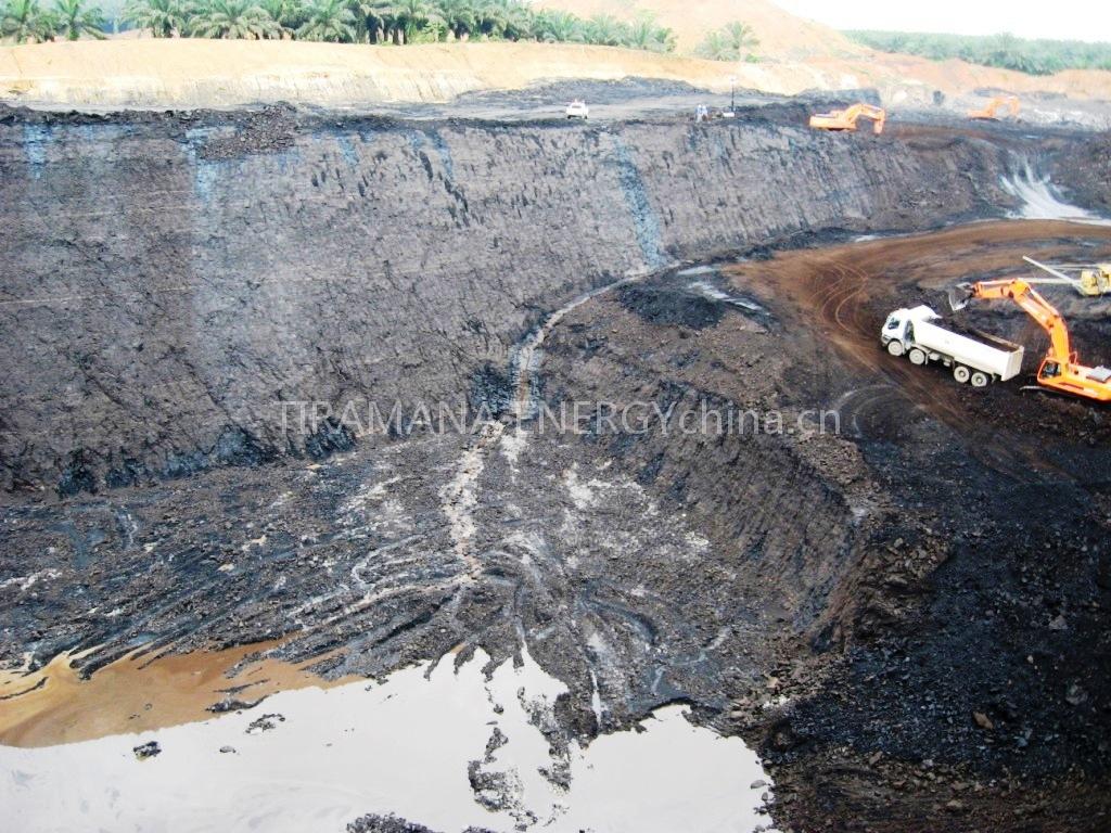 STEAM COAL