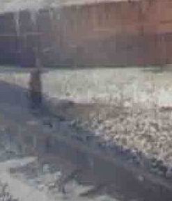 Russian Federation Coking Coal