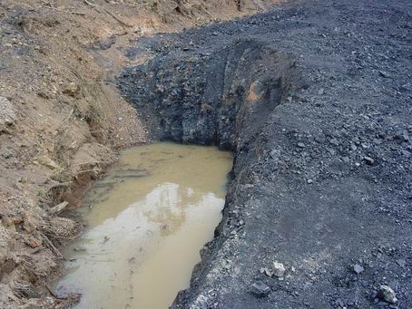Indonesia Steam Coal