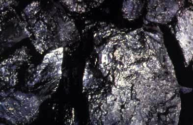Indonesia Steam Coal
