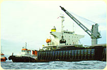 Indonesia Coal