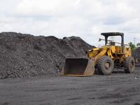 India Steam Coal