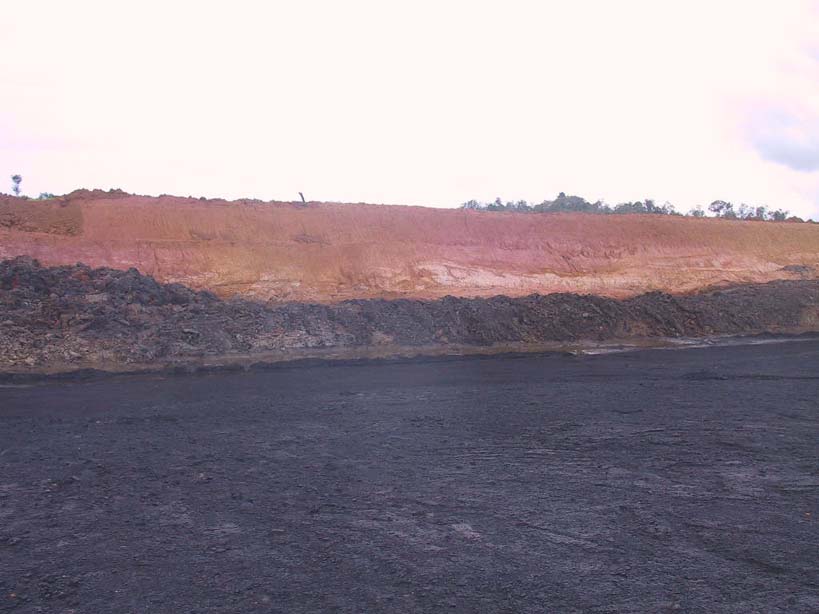 Indonesia Low Sulphur Sub-Bitumous Coal