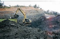 Indonesia Steam Coal