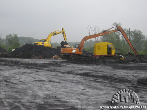 Singapore Steam Coal
