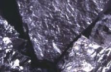 Indonesia Steam Coal Cal 5000 Up To 6500