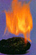 Indonesia Steam Coal