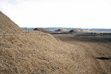 Argentina Peat