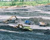 India Indonesian Steam Coal