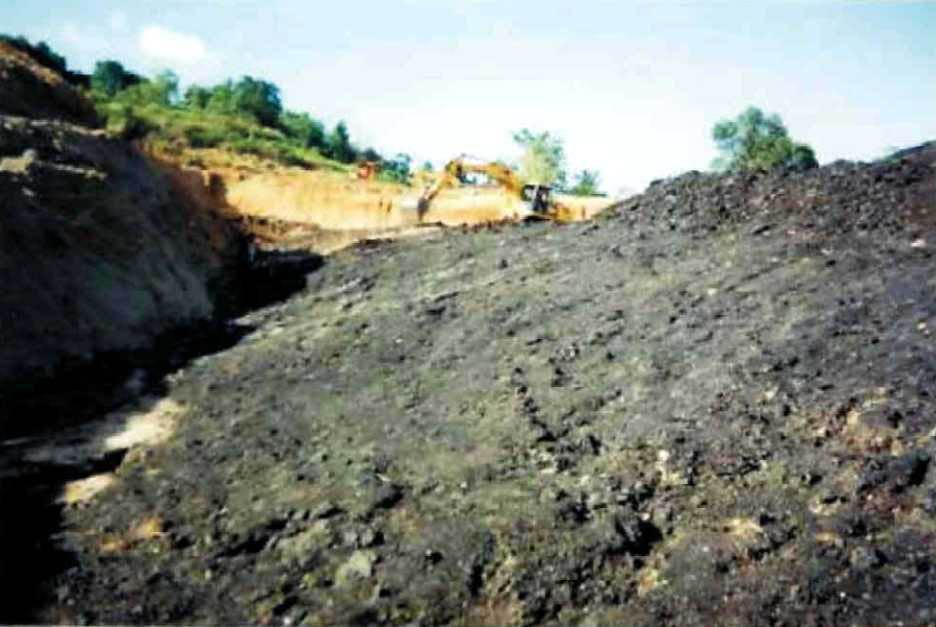 Indonesia Steam Coal
