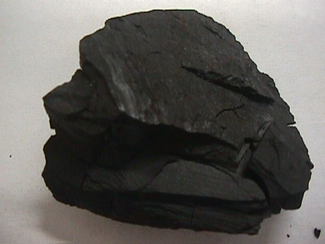 Colombia Vegetable Coal