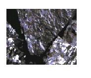 Indonesia Steam Coal