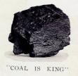 Hong Kong Coal