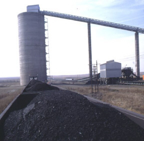 Indonesia Coal