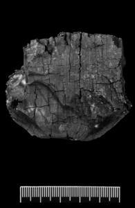 Latvia Brown Coal