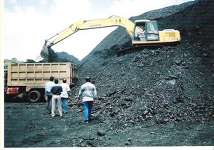 Indonesia Steam Coal
