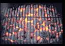 Indonesia Steam Coal