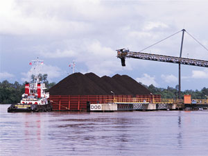 Indonesia Coal