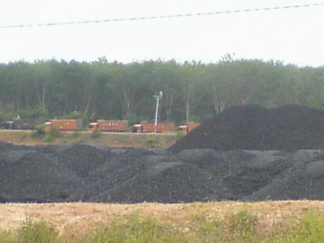 Indonesia Indonesian Coal