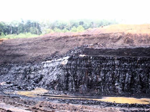 Indonesia Steam Coal