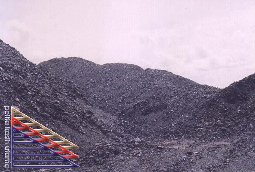 Indonesia Indonesian Steam Coal (Non Cooking)