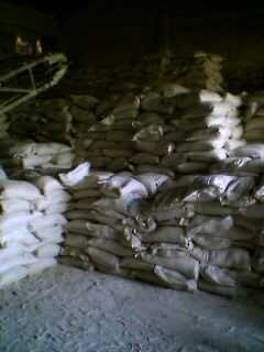 Indonesia Coal