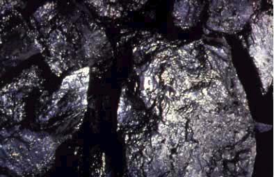 Colombia Steam Coal