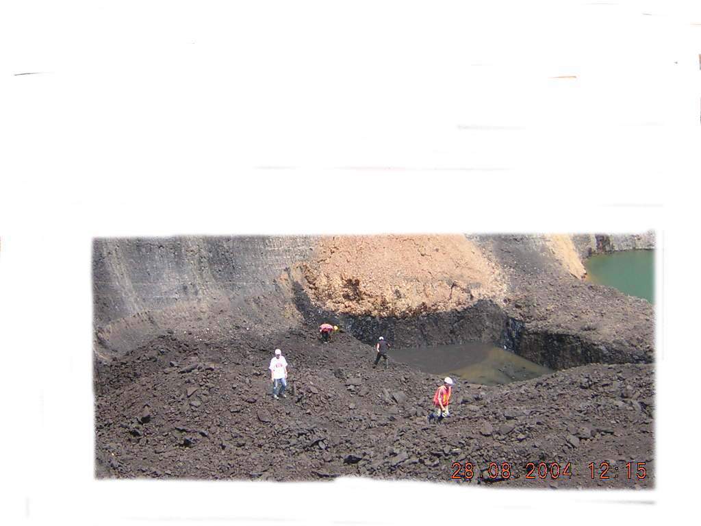 Indonesia Steam Coal (Non Coking)