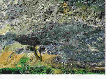 Indonesia Coal