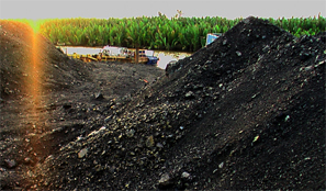 Indonesia Indonesia Steam Coal