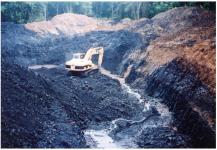 Singapore Steam Coal