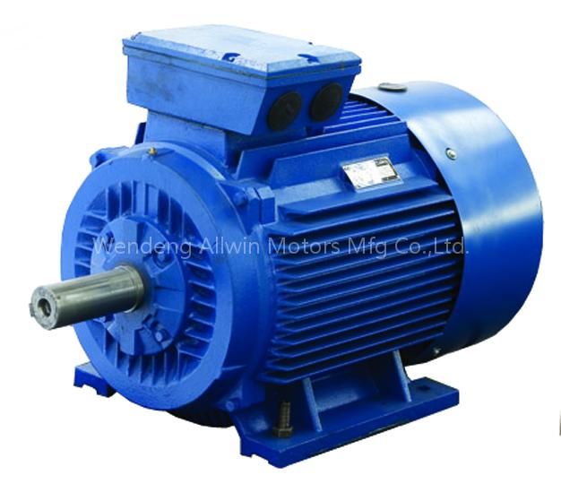Y2 Series Three-Phase Inductio9n Motor