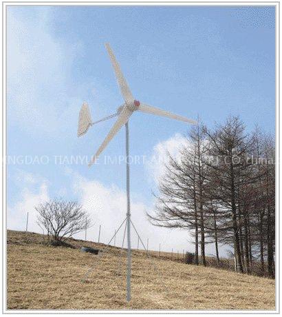 Wind Generator (FD2.6-300W