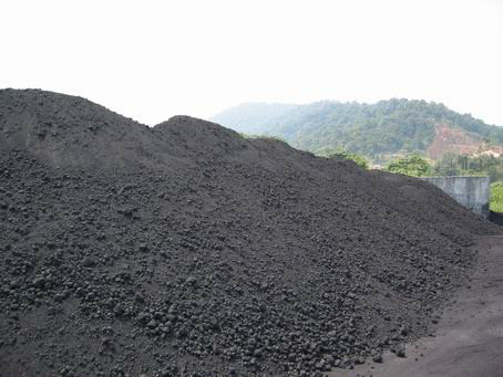 Malaysia Green Delayed Petroleum Coke