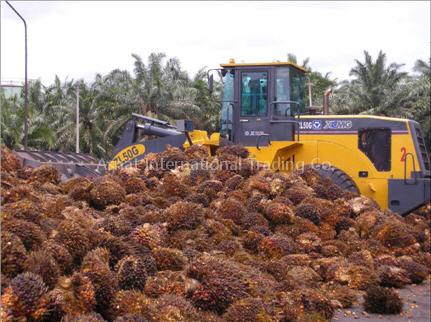 Crude Palm Oil (CPO) from Thailand