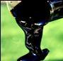 Taiwan Crude Oil