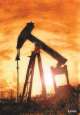 United States Crude Oil