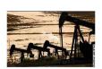 United States Saudi Light Crude Oil