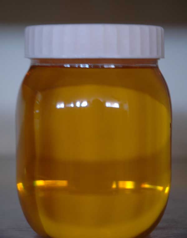 India Biodiesel