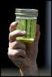 India Biodiesel