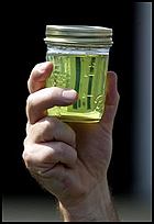 Netherlands Biodiesel