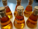 Singapore Biodiesel