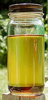 India Biodiesel