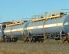 Bio Diesel Fuel (Indonesia)