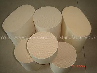 Catalytic Converter Substrate
